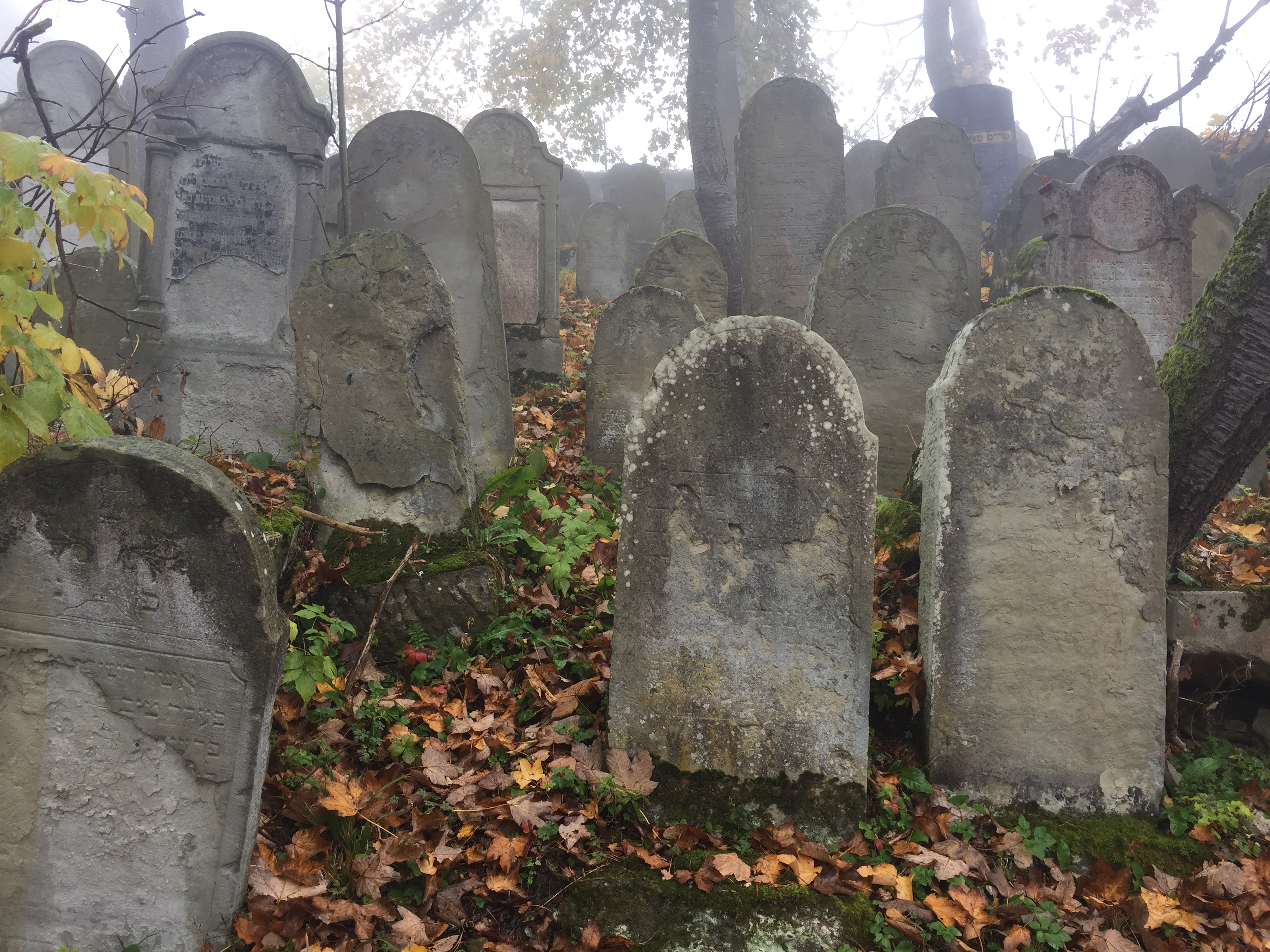 Cmentarz Żydowski w Krynicy-Zdroju